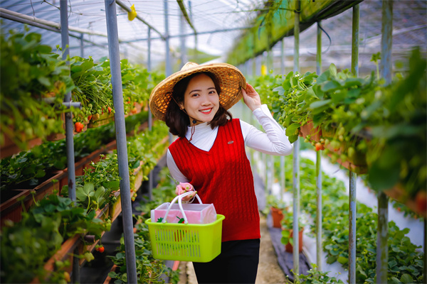 全球黄金市场年中展望 震荡还是再迎风口？